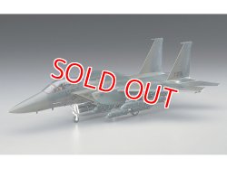 画像1: ハセガワ (E10)  1/72  F-15E ストライク イーグル  