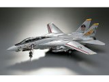 画像: ハセガワ  (PT46)  1/48 F-14A トムキャット  